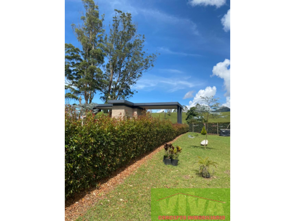 SE VENDE LOTE SECTOR AGUAS CLARAS,LA CEJA
