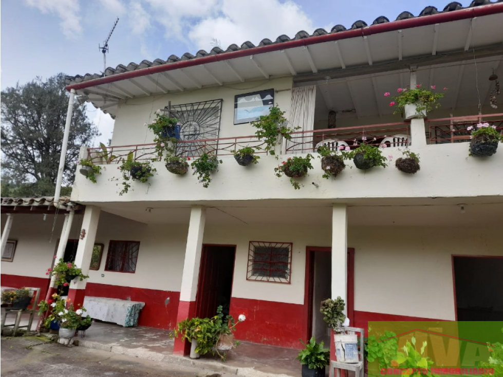SE VENDE FINCA EN SAN VICENTE DE FERRER