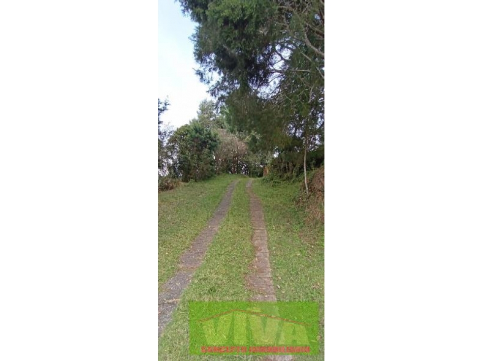 SE VENDE FINCA EN VEREDA PIEDRAS BLANCAS,GUARNE