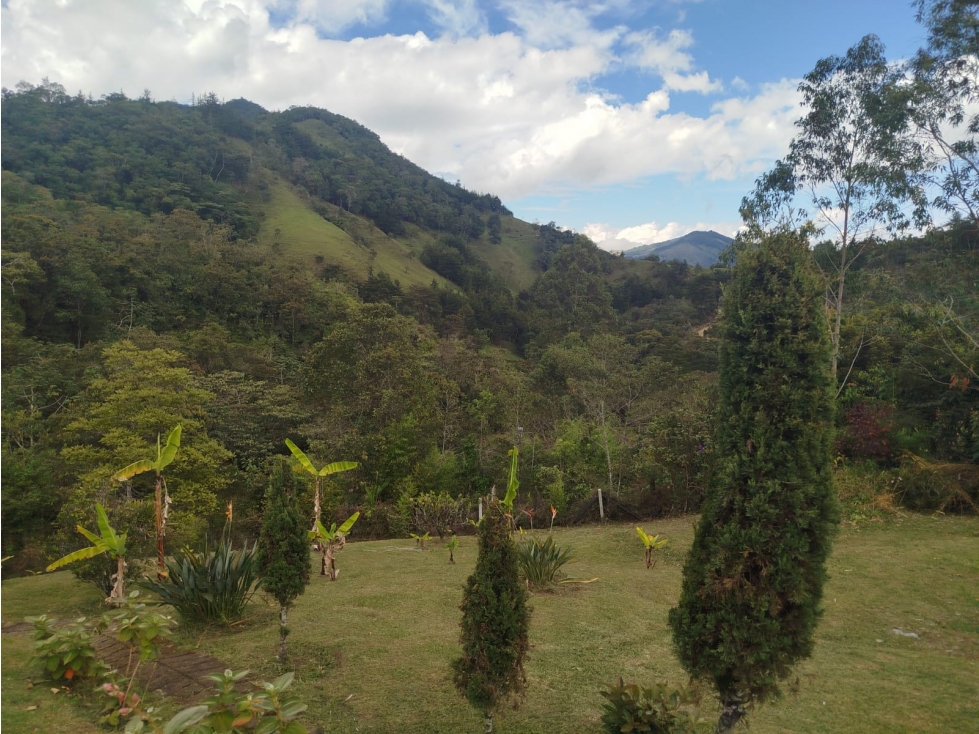 FINCA EN VENTA, MONTEBELLO, EL RETIRO — foto 3
