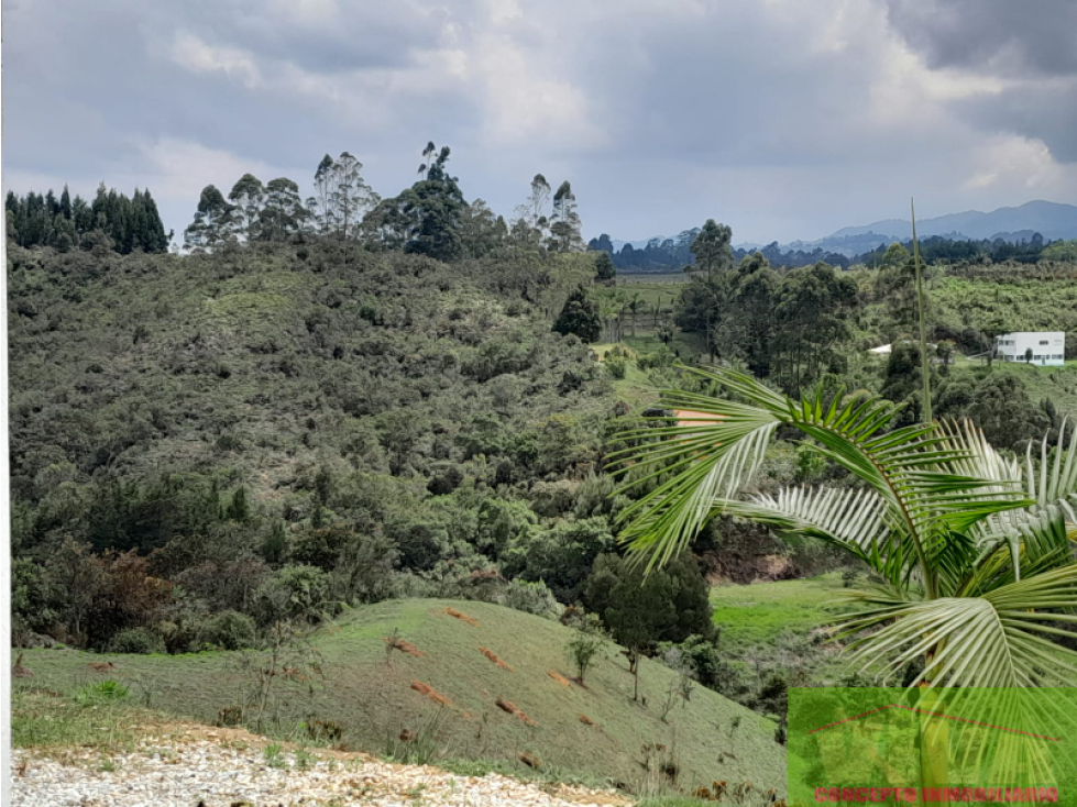 SE VENDE FINCA EN VEREDA MAMPUESTO,RIONEGRO — foto 5