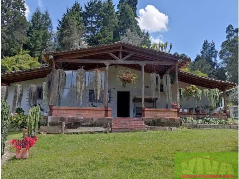 SE VENDE FINCA EN HOJAS ANCHAS,GUARNE — foto 2