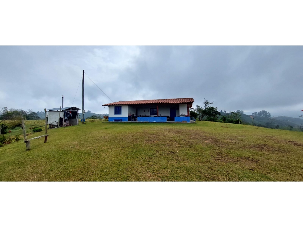 SE VENDE FINCA VEREDA LA ASUNCION,MARINILLA — foto 2