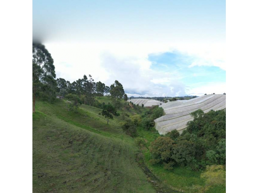 SE VENDE LOTE EN VEREDA LAS GARZONAS,CARMEN DE VIBORAL — foto 2