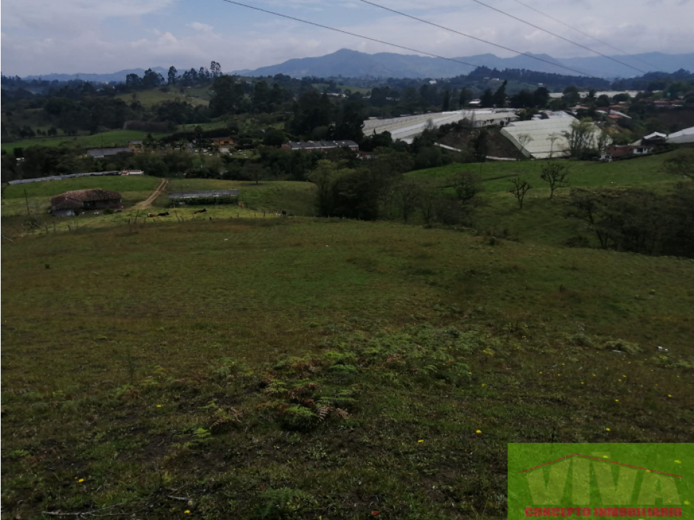 SE VENDE LOTE EN VEREDA LAS GARZONAS,CARMEN DE VIBORAL — foto 2