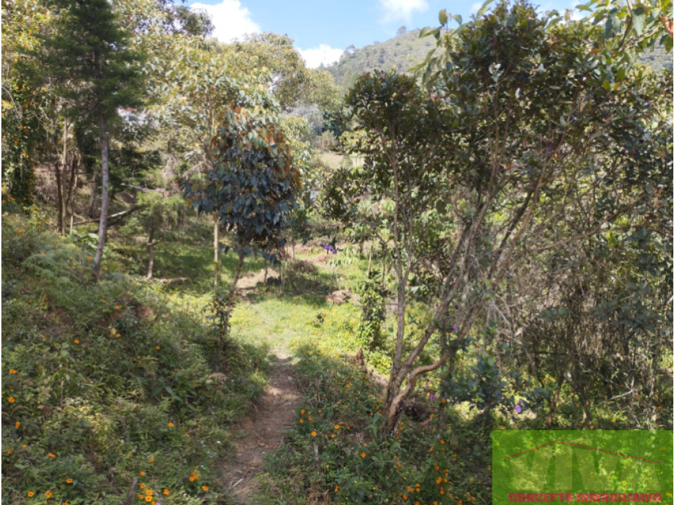 SE VENDE LOTE EN VEREDA EN JUAN XXIII, SAN VICENTE — foto 2