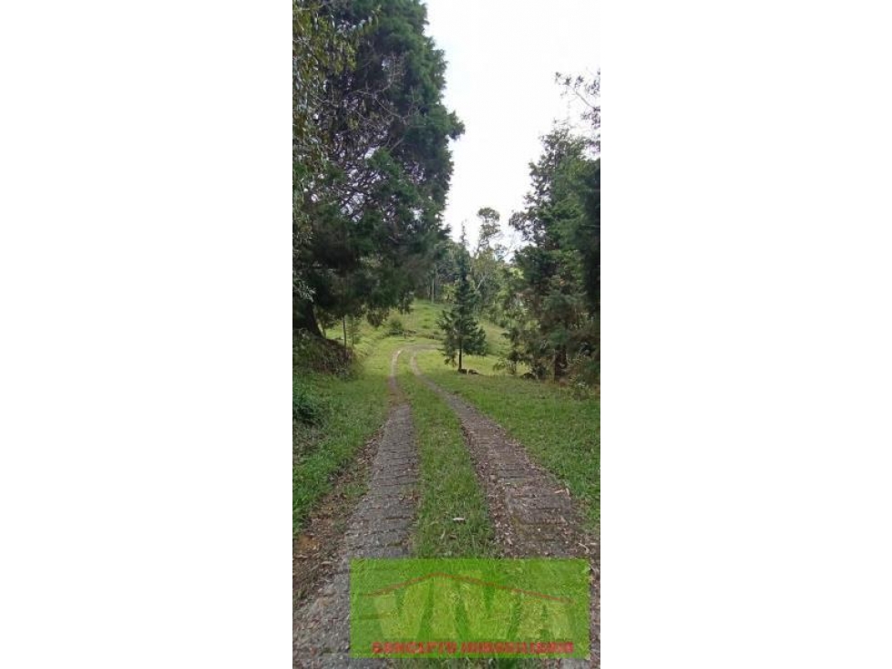 SE VENDE FINCA EN VEREDA PIEDRAS BLANCAS,GUARNE — foto 2