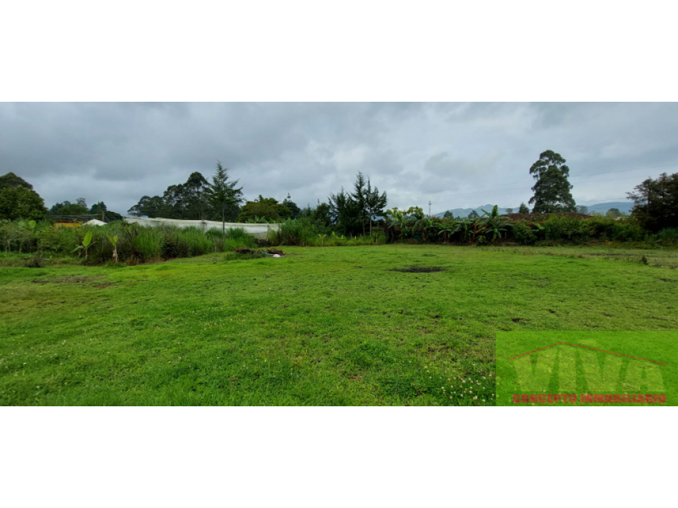 SE VENDE LOTE EN VEREDA LAS LOMITAS,LA CEJA — foto 2