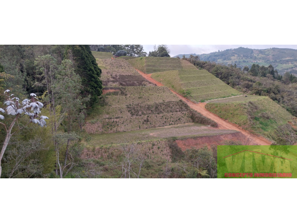 SE VENDE LOTE EN VEREDA MONTAÑEZ,GUARNE — foto 2