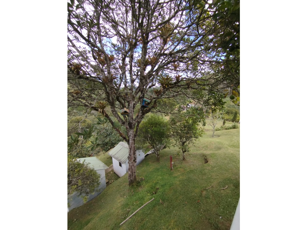 FINCA EN VENTA, MONTEBELLO, EL RETIRO — foto 4