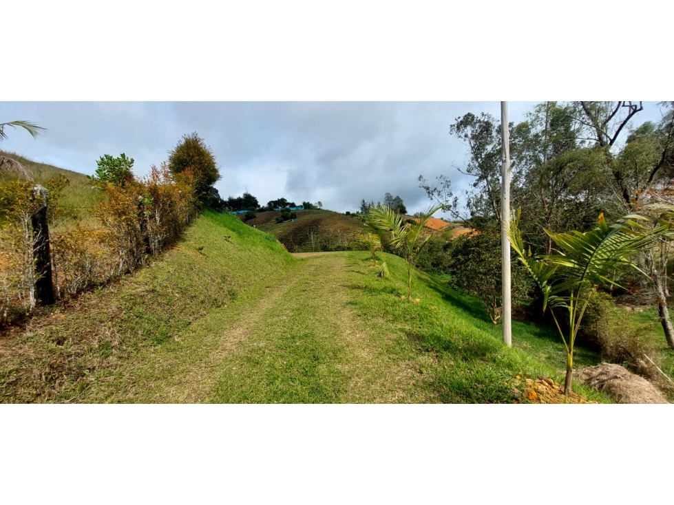 SE VENDE LOTE CONDOMINIO RINCON DE CAMARGO,EL CARMEN DE VIBORAL. — foto 3