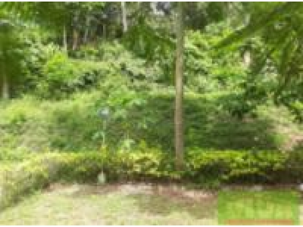 FINCA EN VENTA, SANTA FE DE ANTIOQUIA - 1