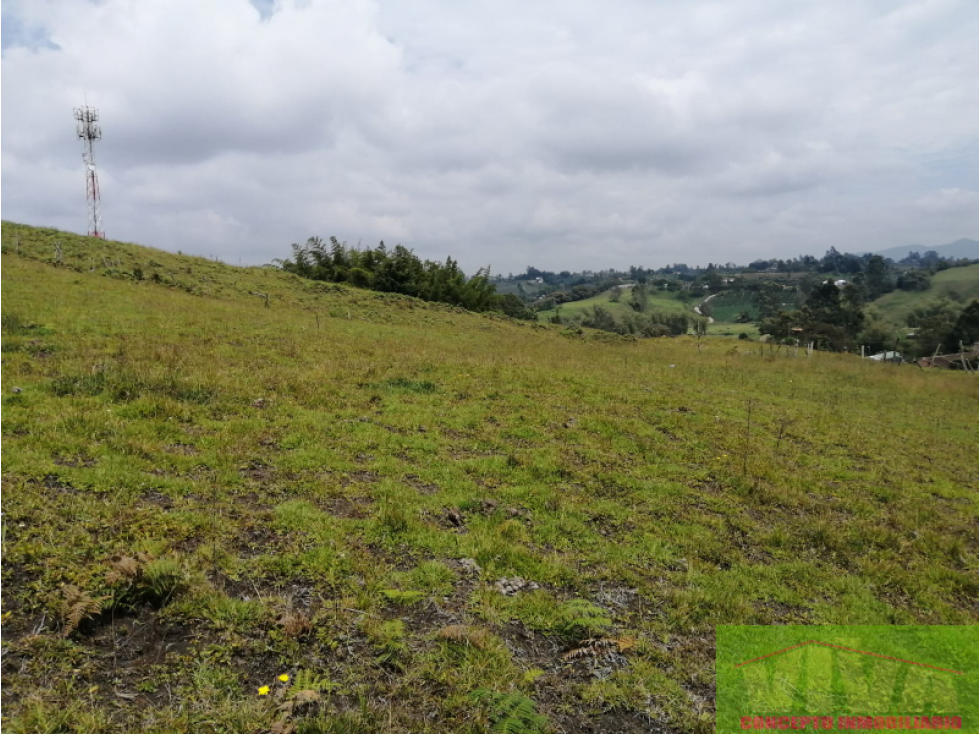 SE VENDE LOTE EN VEREDA LAS GARZONAS,CARMEN DE VIBORAL — foto 3