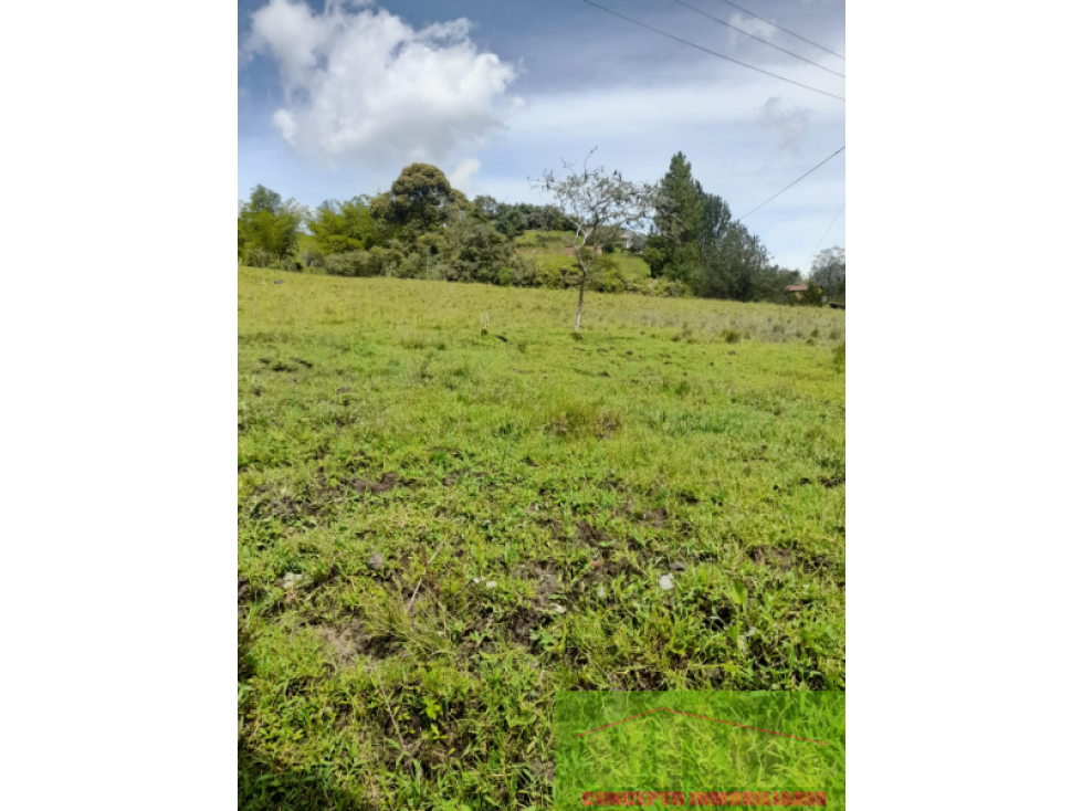 SE VENDE FINCA EN SAN VICENTE DE FERRER — foto 3