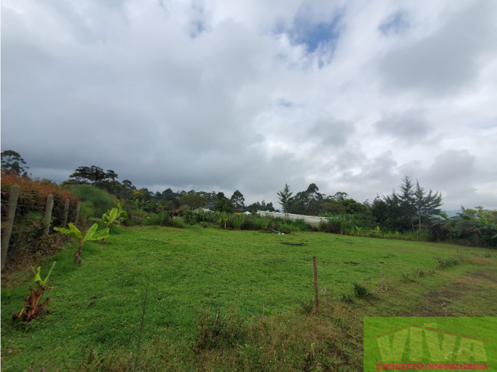 SE VENDE LOTE EN VEREDA LAS LOMITAS,LA CEJA — foto 3