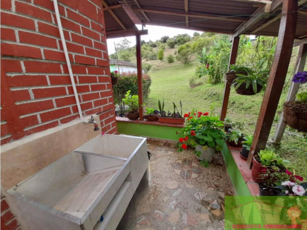 SE VENDE FINCA EN VEREDA LA ALDANA,EL SANTUARIO - 3