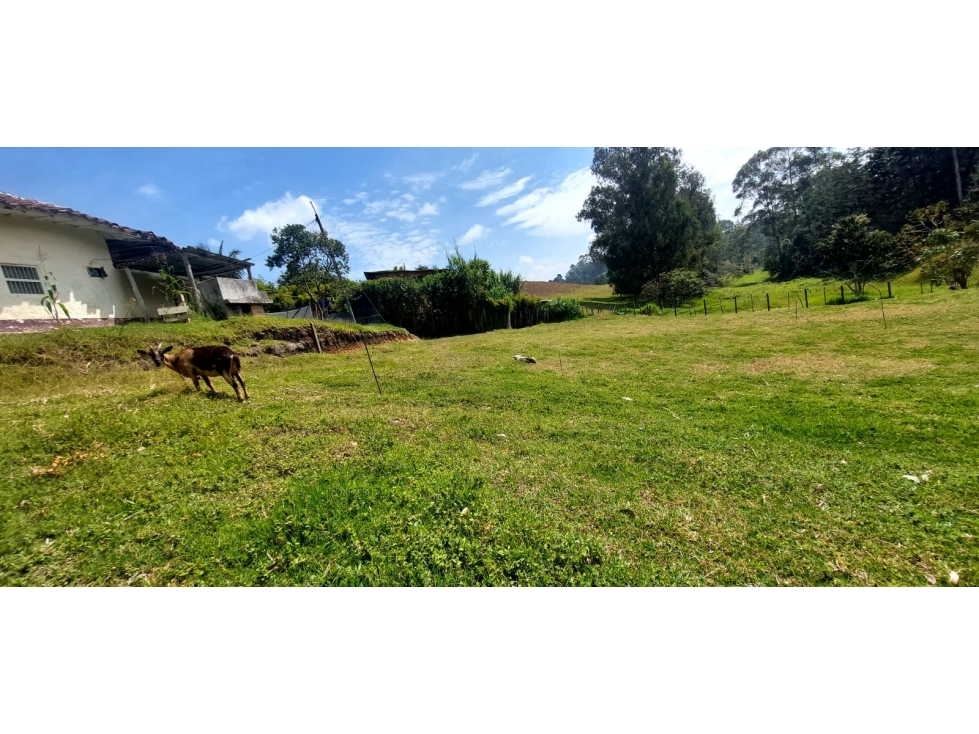 SE VENDE LOTE,VEREDA LA CONVENCION,AUTOPISTA MDE-BOG RIONEGRO — foto 4
