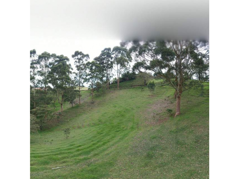SE VENDE LOTE EN VEREDA LAS GARZONAS,CARMEN DE VIBORAL — foto 4