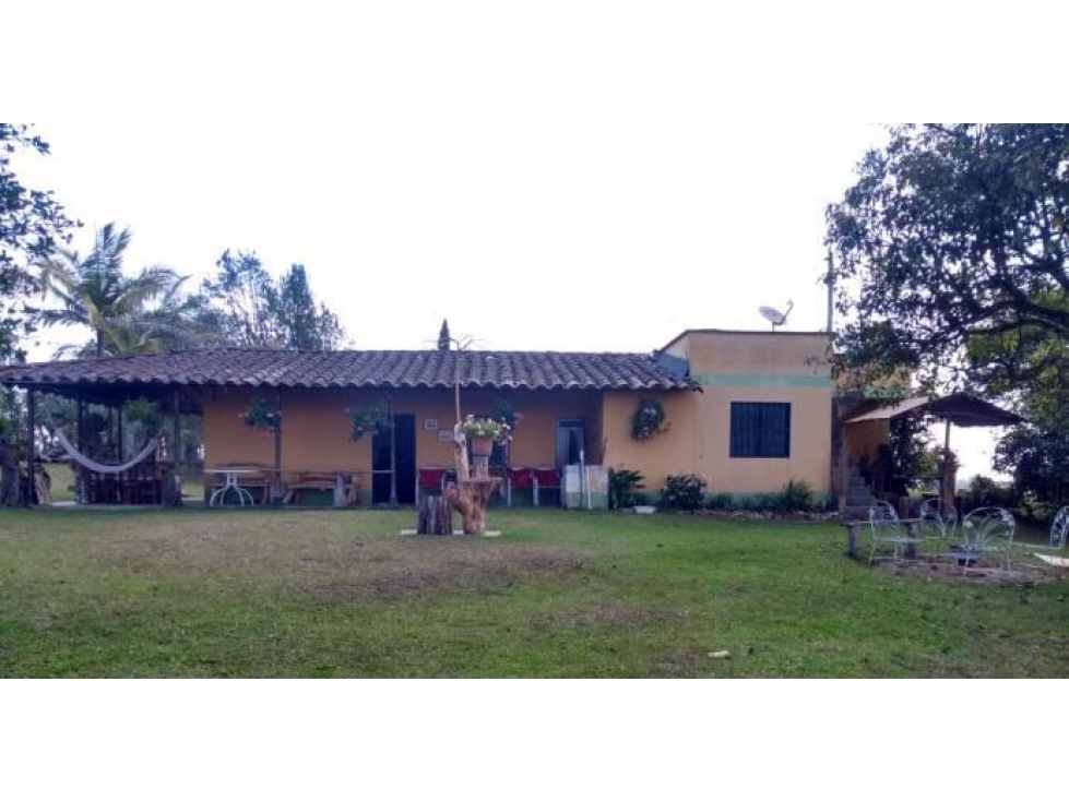 SE VENDE FINCA EN ALTO DEL MERCADO,MARINILLA — foto 4