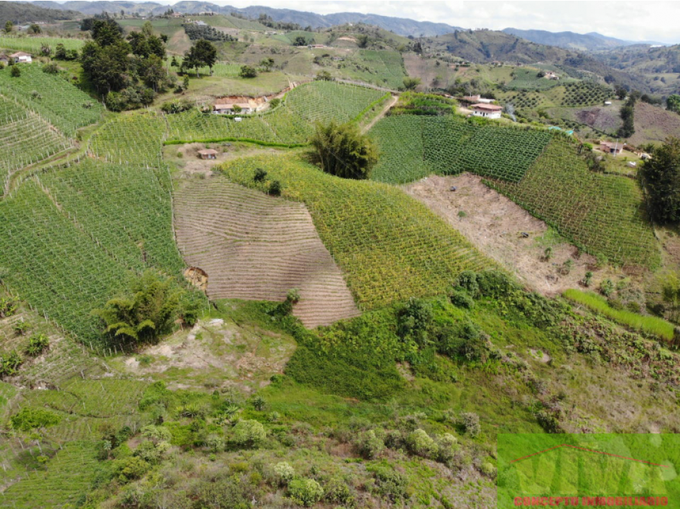 SE VENDE LOTE EN VEREDA SAN ANTONIO,SAN VICENTE — foto 4