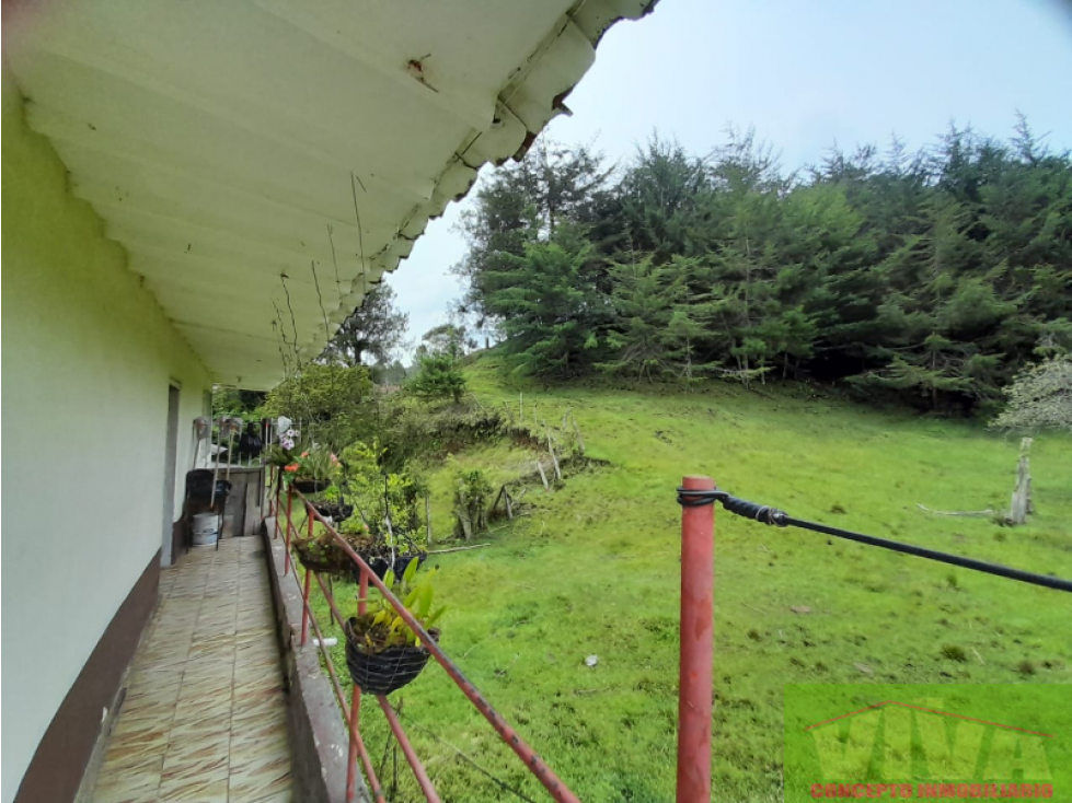 SE VENDE FINCA EN SAN VICENTE DE FERRER — foto 4