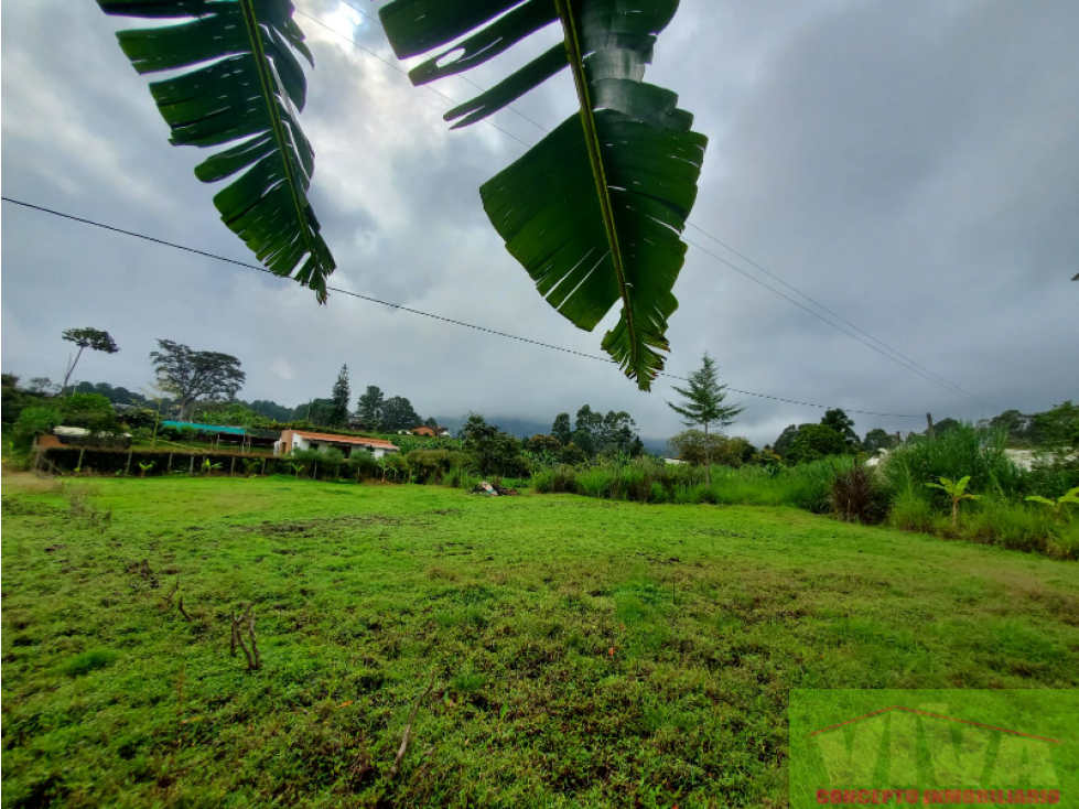 SE VENDE LOTE EN VEREDA LAS LOMITAS,LA CEJA — foto 4