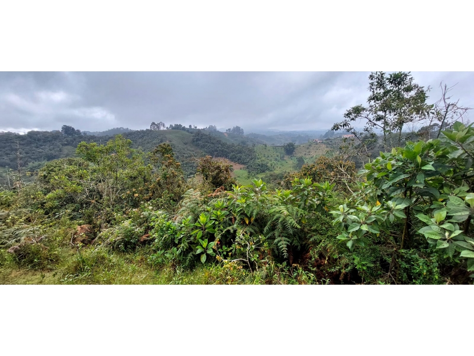 SE VENDE FINCA VEREDA LA ASUNCION,MARINILLA — foto 5