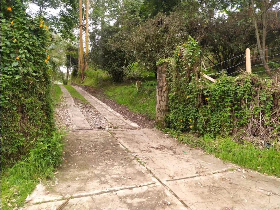 SE VENDE FINCA CAMPESTRE EN SAJONIA,RIONEGRO — foto 5