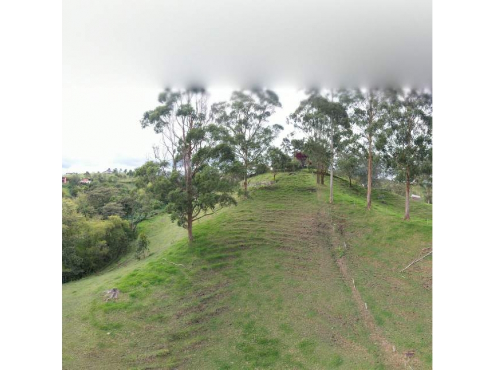 SE VENDE LOTE EN VEREDA LAS GARZONAS,CARMEN DE VIBORAL — foto 5