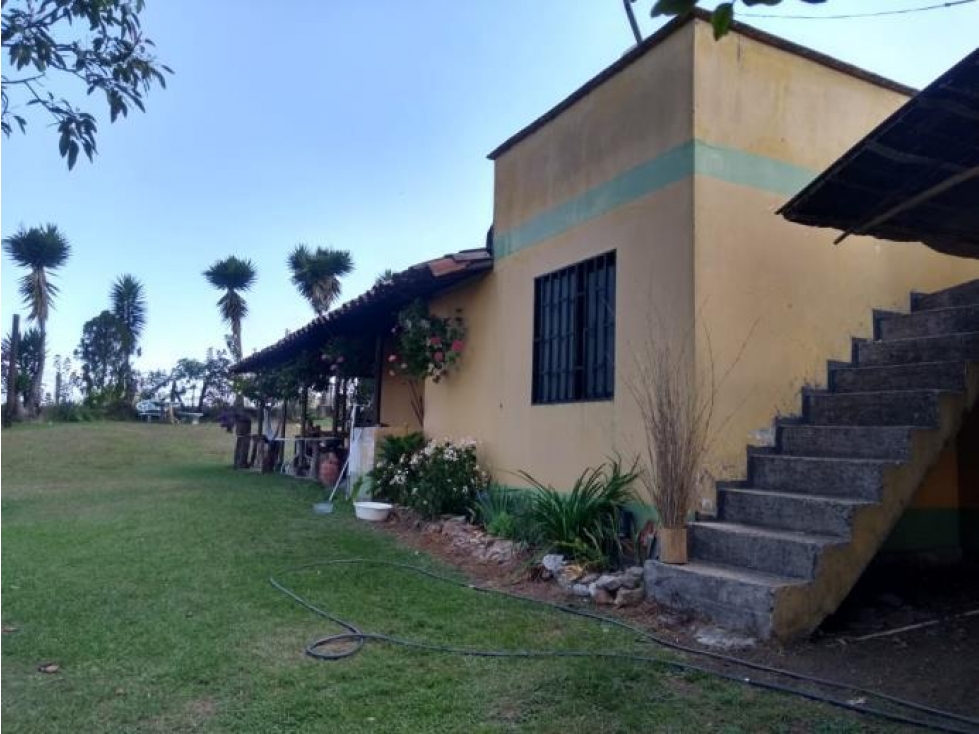 SE VENDE FINCA EN ALTO DEL MERCADO,MARINILLA — foto 5