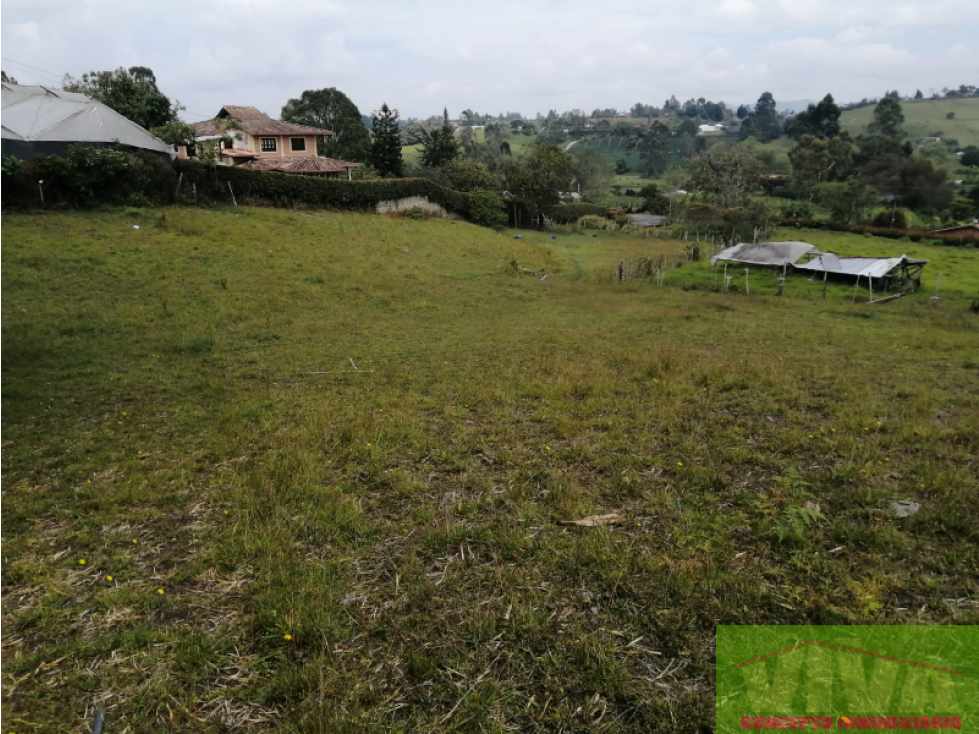 SE VENDE LOTE EN VEREDA LAS GARZONAS,CARMEN DE VIBORAL — foto 5