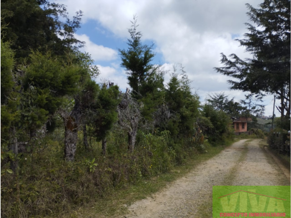 SE VENDE LOTE EN VEREDA EN JUAN XXIII, SAN VICENTE — foto 5