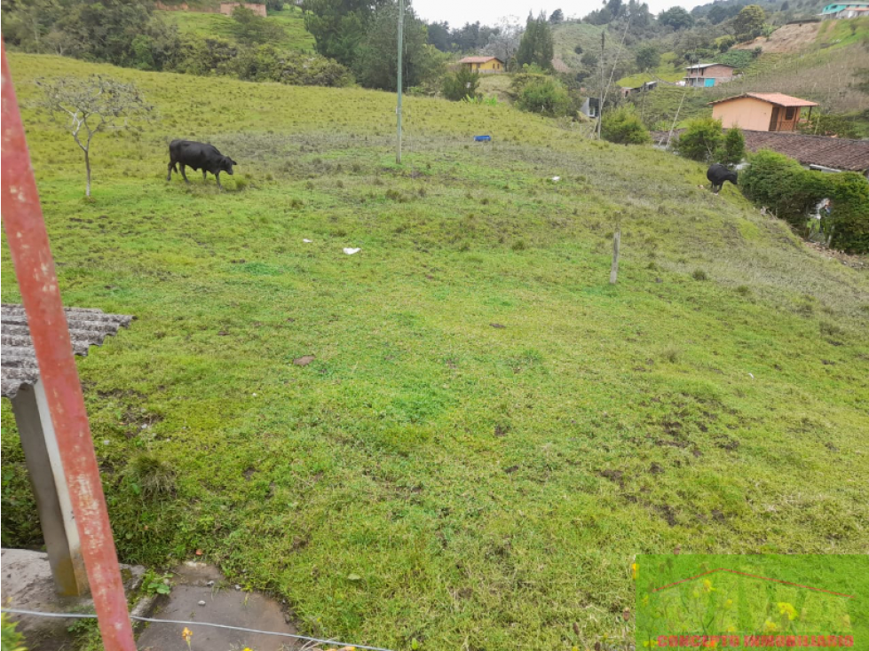 SE VENDE FINCA EN SAN VICENTE DE FERRER — foto 5