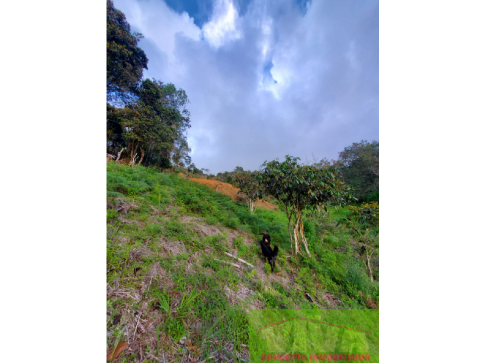 SE VENDE LOTE EN VEREDA LOS PUENTES,SAN VICENTE — foto 5