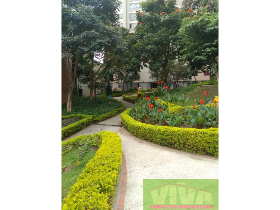 SE VENDE APARTAMENTO SECTOR EL TRAPICHE,BELLO — foto 5