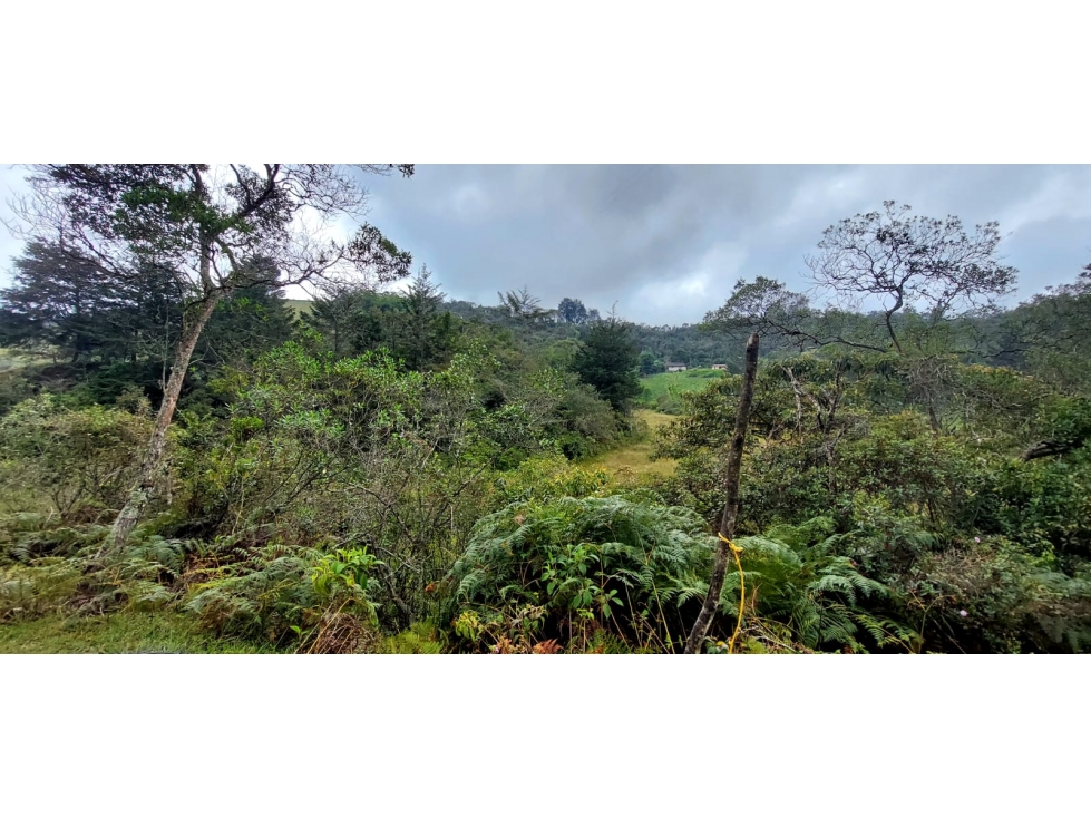 SE VENDE FINCA VEREDA LA ASUNCION,MARINILLA — foto 6