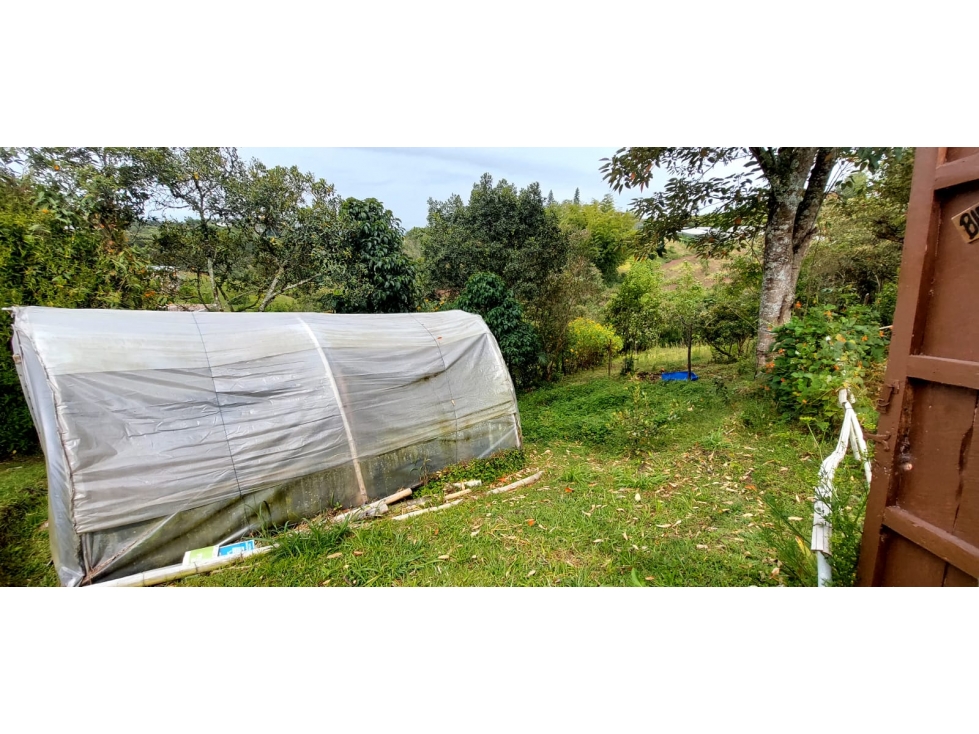 SE VENDE FINCA VEREDA CASCAJO ARRIBA,MARINILLA — foto 6