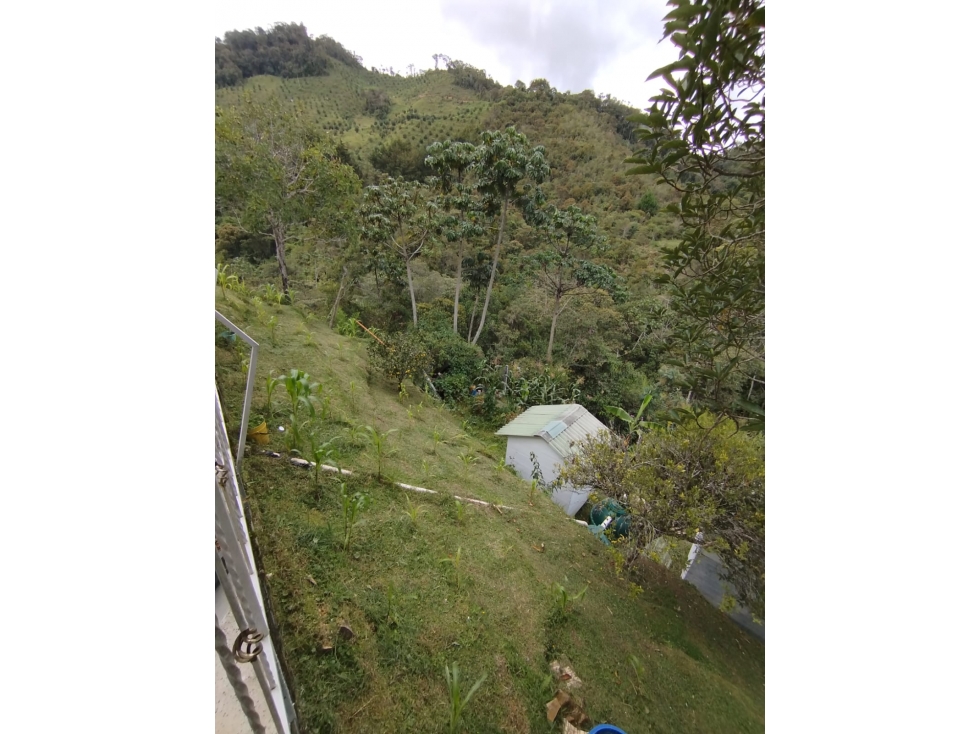 FINCA EN VENTA, MONTEBELLO, EL RETIRO — foto 2