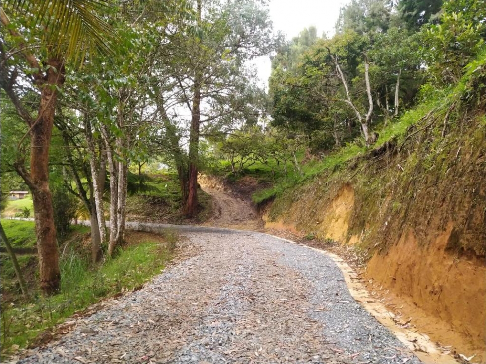 SE VENDE FINCA CAMPESTRE EN SAJONIA,RIONEGRO — foto 6