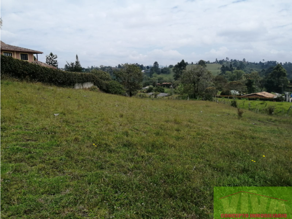 SE VENDE LOTE EN VEREDA LAS GARZONAS,CARMEN DE VIBORAL — foto 6