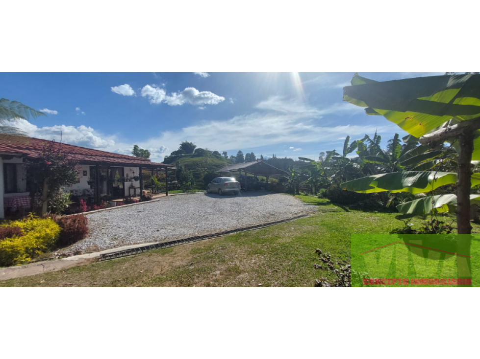 SE VENDE FINCA EN VEREDA LAS CUCHILLAS,RIONEGRO — foto 6