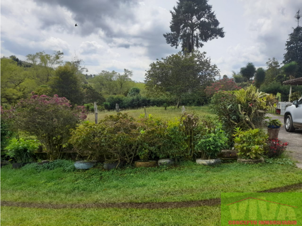 SE VENDE FINCA EN SAN VICENTE DE FERRER — foto 6