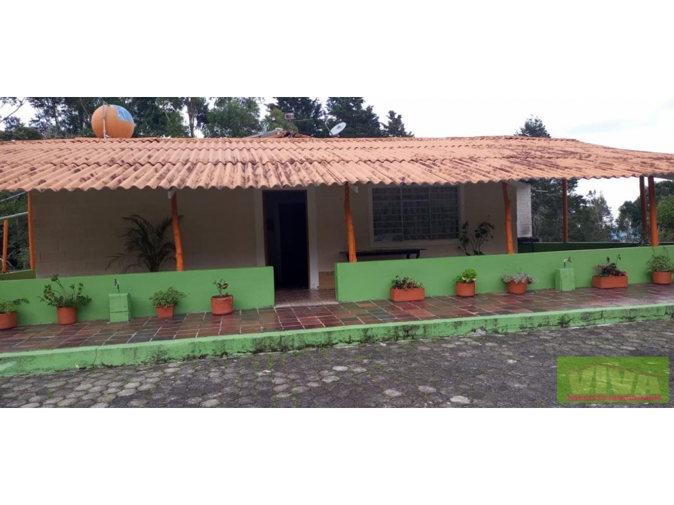 SE VENDE FINCA EN VEREDA PIEDRAS BLANCAS,GUARNE — foto 6