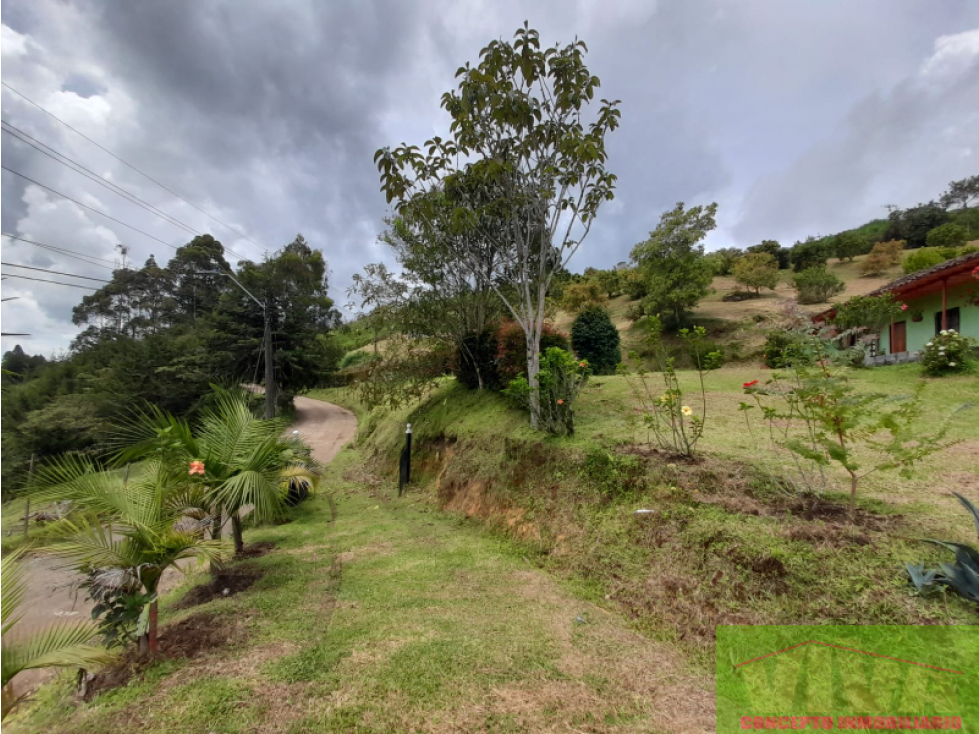 SE VENDE FINCA EN VEREDA LA ALDANA,EL SANTUARIO - 6