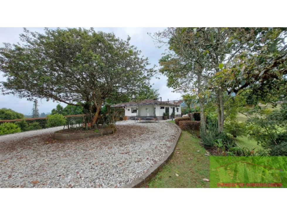 SE VENDE FINCA EN VEREDA RANCHERIAS,RIONEGRO — foto 3