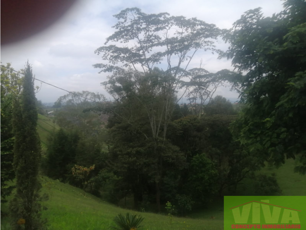 SE VENDE FINCA EN EL CHOCHO MAYO,MARINILLA — foto 4