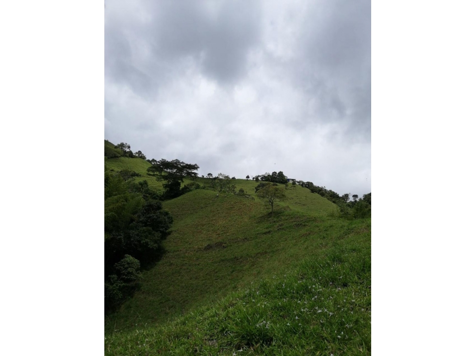 VENDO FINCA EN PACHO-CUNDINAMARCA - 6