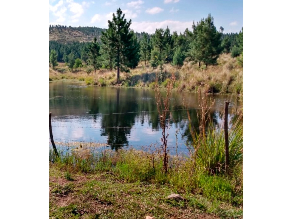 Terreno San Clemente - Paso del Tabaquillo Ultimo Lote 2834 M2 — foto 5