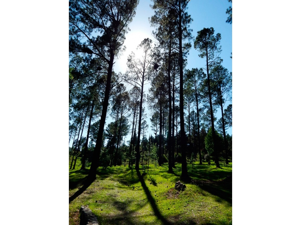 Terreno San Clemente - Paso del Tabaquillo Ultimo Lote 2834 M2 — foto 6