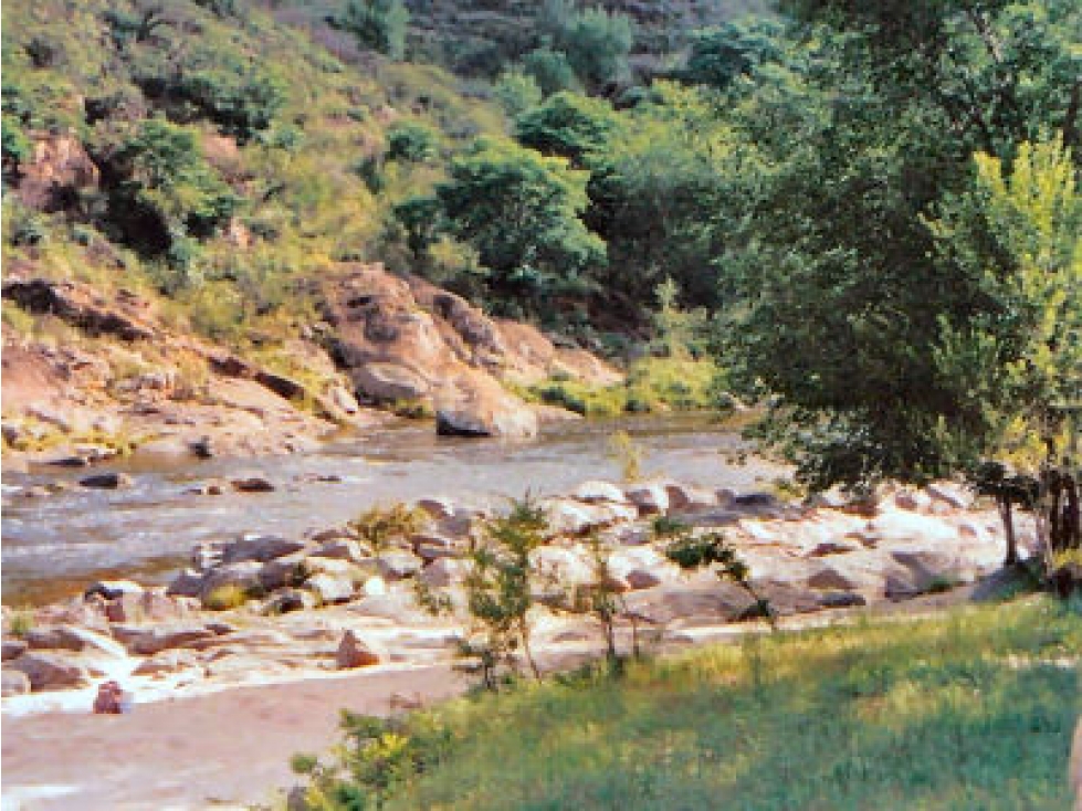 Complejo Turistico en Tala Huasi - Sierras de Córdoba. Financiación - 6